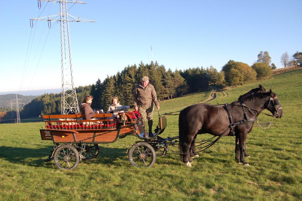 Ferienwohnungen Westfalenhof 维林根 外观 照片